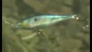 Wobler Rapala Shallow Shad Rap 07_FPN