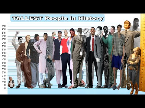 TALLEST People in the History | Height Comparison
