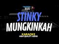 Stinky - Mungkinkah Karaoke Lirik