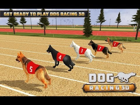 Dog Racing  3D Run  Animal  Doggy Race: pet Racing Video