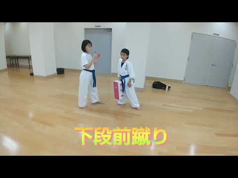 下段前蹴り