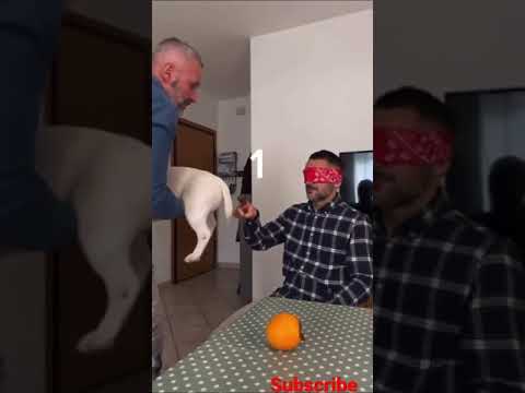 nutella prank 😂🤣😂😆/ #short #prank #comedy