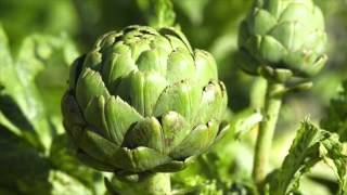 Artichokes Take Five