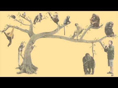 What is an Ancestor?