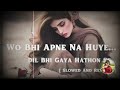 Wo Bhi Apne Na Hua Dil Bhi Gaya Hathon Se Slowed And Reverb Unke Andaz E Karam