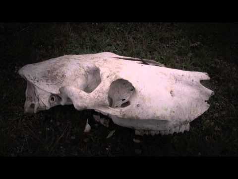 Feral - Boşluk (Official Video)