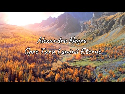 Negru Alexandru-Spre Tara Luminii Eterne