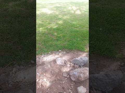 visité el Parque de Senati, Urb. Primavera en Amarilis - Huánuco 🏞️🇵🇪☀️ #huánuco #peru #parque