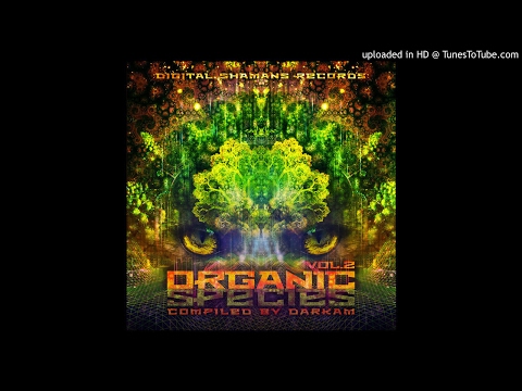 Sensitive Seeds - Globular Step