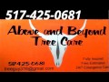 Tree cutting around Adrian Mi