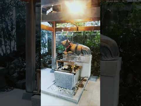 社会福祉学科 僕の暮らす街
