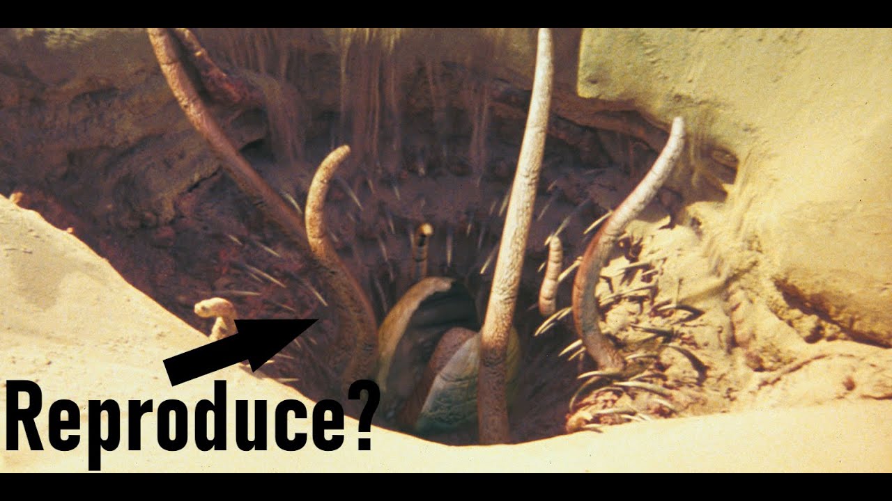 How Does a Sarlacc Reproduce? #shorts