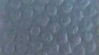 WHISKEY FALLS AUDIO V BEACH 1