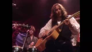 R.E.M. - Rotary 11 (MTV Unplugged 1991)