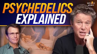 Dr. Dan Kelly on Healing the Brain Through Psychedelics