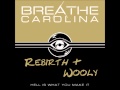 Breathe Carolina - Rebirth: An Introduction + ...