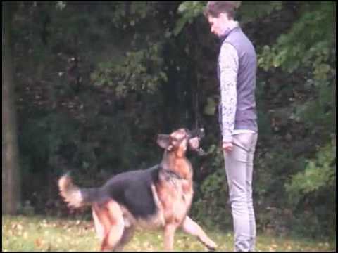 OG-Wermelskirchen.flv