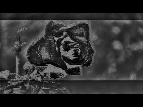 *SOLD* nightlovell x ONI INC. x NOVAE type beat | prod.911