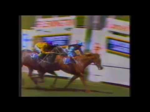 1985 VRC Black Douglas Stakes