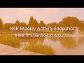 Weekly Activity Snapshot - Week of 3/26/2024 to 4/1/2024
