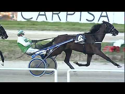 Napoli Trotto 29/01/2023 - 7ª corsa