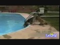 Funny Water Accidents