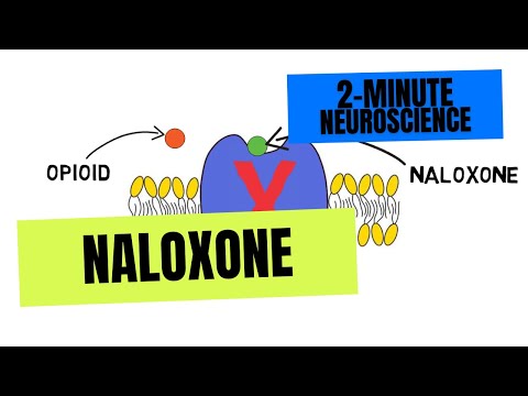 2-Minute Neuroscience: Naloxone (Narcan)