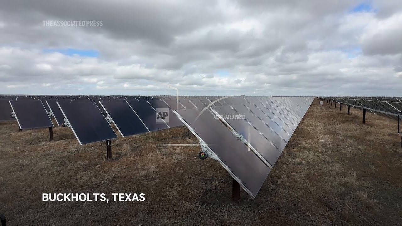 Solar farms are booming and sheep are ready to work