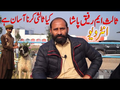 Best Interview of M Rafiq Pasha Top 10 Pakistani Dogs And Hores By Nafa TV HD