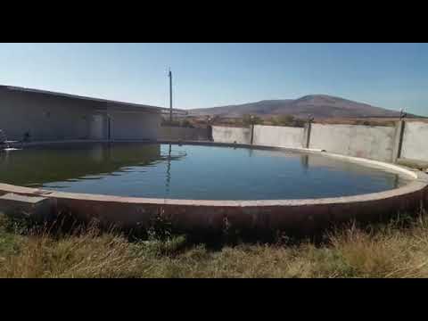 For Sale Production / warehousing space, Business yard Commercial, in Martkopi