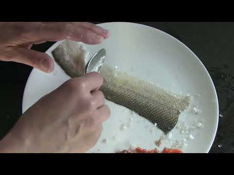 (15) Hand-Tanning Salmon Skin & Adding Dye (Natural Dyes project)