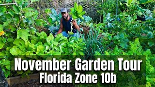 “Growing ALL This in NOVEMBER?! 🍃 Florida Zone 10b Backyard Garden Tour”
