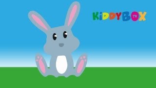 Häschen in der Grube - Kinderlieder (KIDDYBOX.TV)