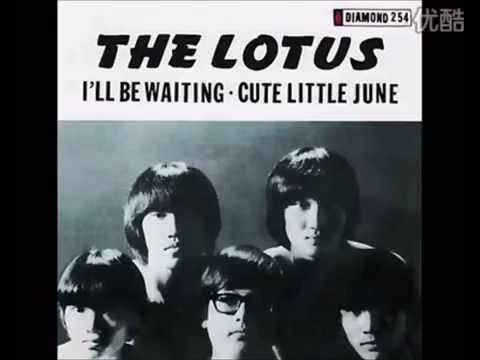 The Lotus - Just A Little
