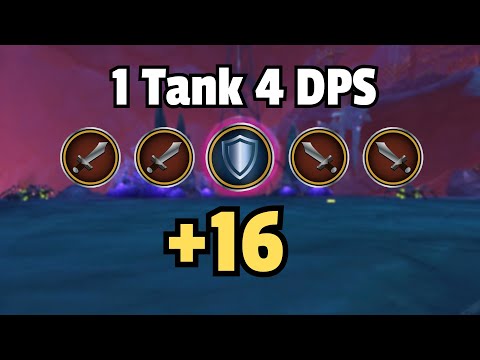 NO HEALER? 1 Tank 4 DPS vs +16 Ara Kara