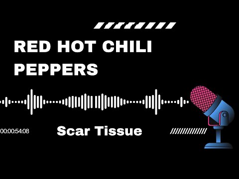 SimplySing Karaoke - Red Hot Chili Peppers: Scar Tissue