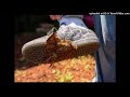 Yuno Miles Dookie On My Shoe Prod By Foreigner2x