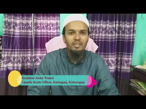 স্কোয়াশ চাষে ১০(দশ) টি পোকা ও রোগবালাই দমন পদ্ধতি