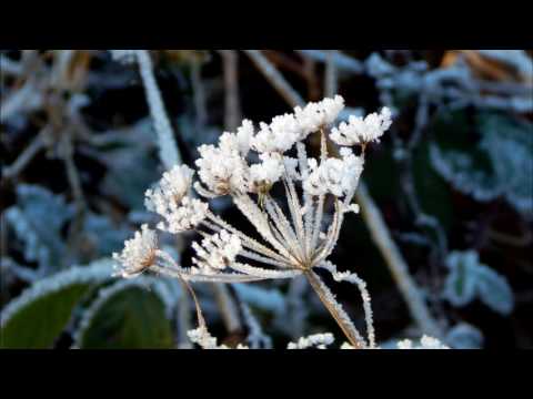 Kryon 2017 ~ Good, better, best. Never let it rest