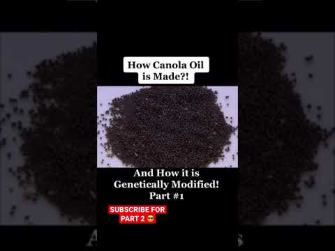 How Canola Oil is Made | Evil Seed Oils 😈 PART 1