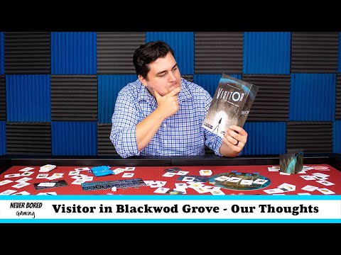Never Bored Gaming | Our Thoughts | Visitor in Blackwood Grove