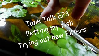 Tank Talk EP3 - Petting my fish and trying out new filters.