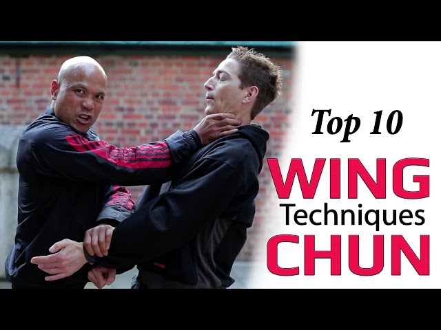 Top 10 wing chun kung fu techniques for real self defense SDDEFAULT Thumbnail