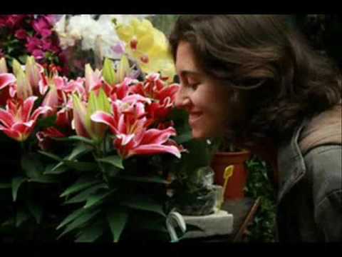 mãe natureza - macucos