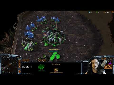 Beginner Cheese Build: Speed Zergling RUSH