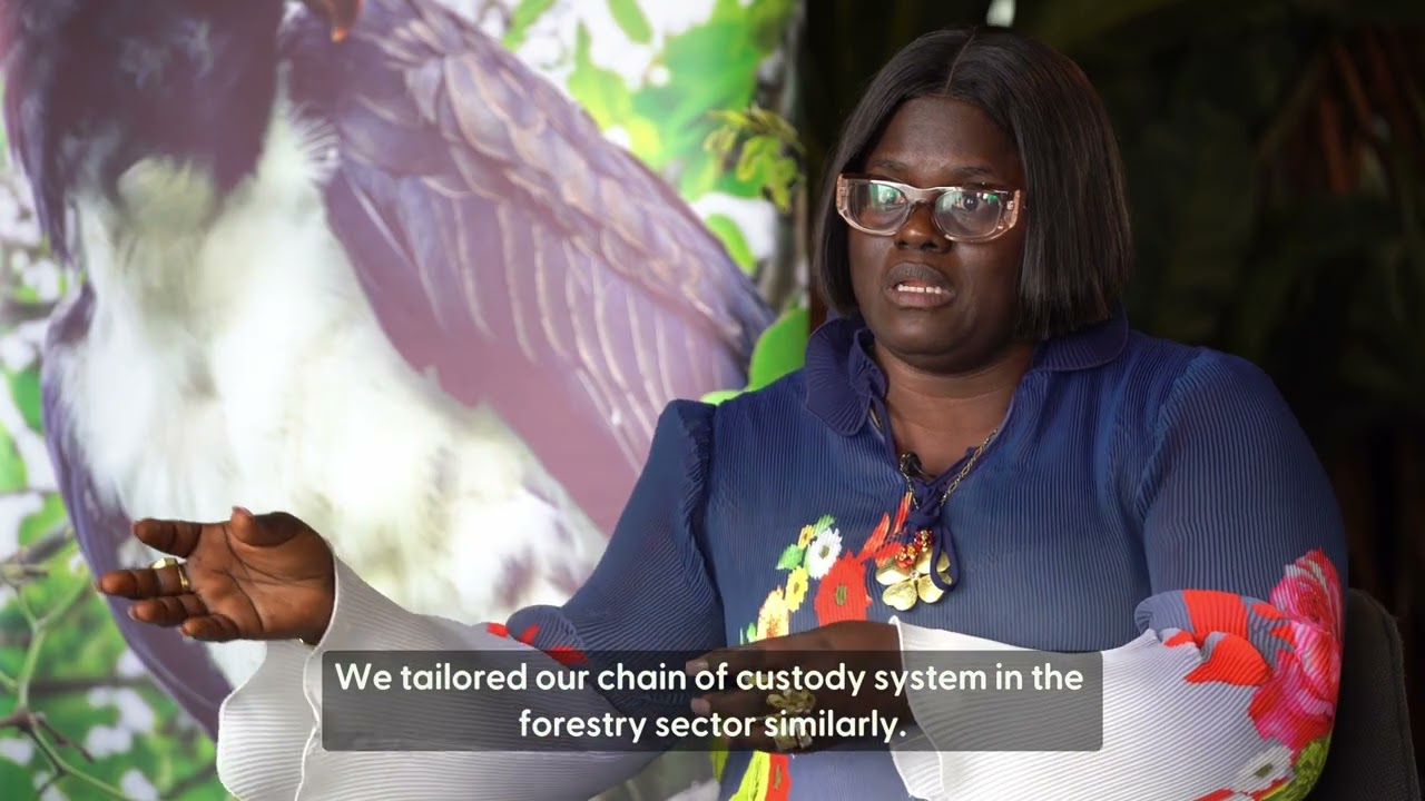 Promoting responsible forest management and natural rubber certification in Liberia