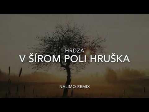 Hrdza - V šírom poli hruška (nalimo remix)