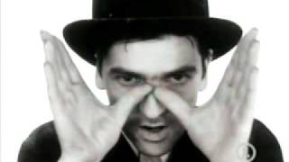 Robyn Hithcock Madonna of the Wasps