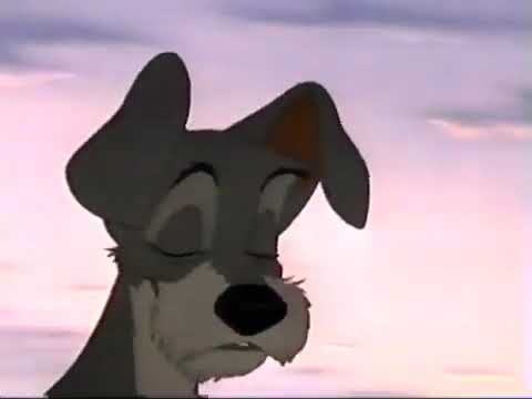 Lesson 5_2 video 18 Ever Chase Chickens