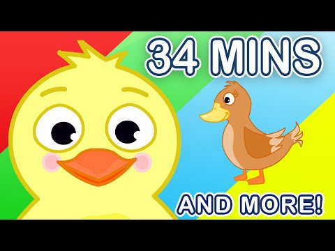 5 Little Ducks + Many More! Nursery Rhymes Collection for Children | Kids Songs